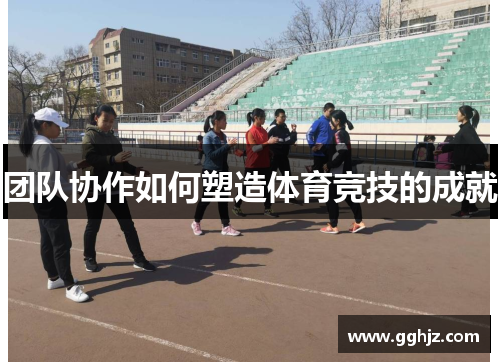 团队协作如何塑造体育竞技的成就