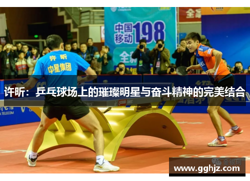许昕：乒乓球场上的璀璨明星与奋斗精神的完美结合
